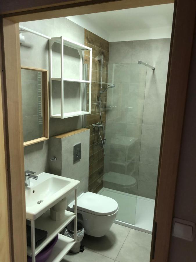 Apartmán Sniezka Duszniki Zdrój Exteriér fotografie